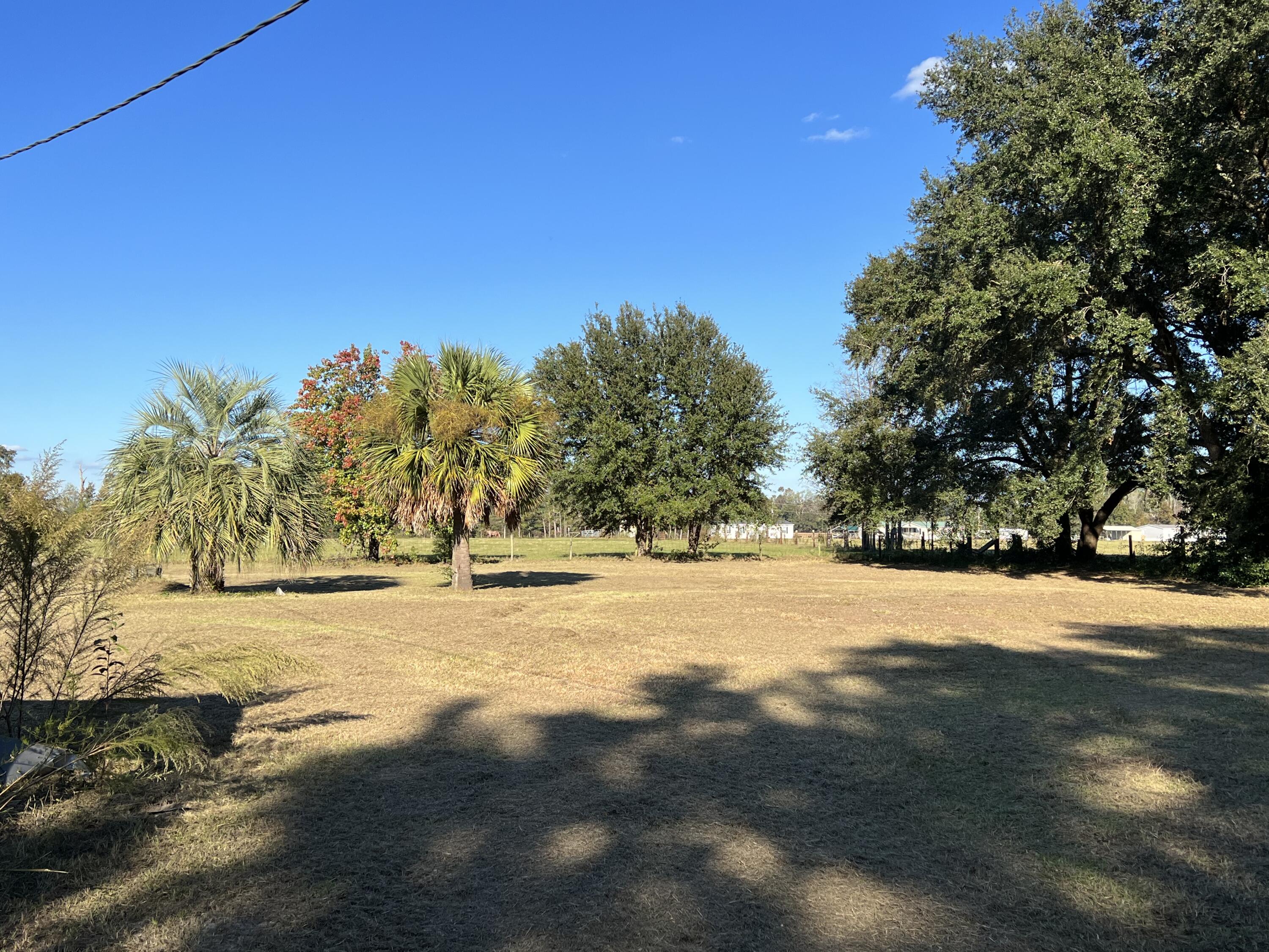 400 Crosby Corner Road Walterboro, SC 29488 - Photo 3 of 4 D1661DAD-CBD1-49C5-BB33-FB1406CDA083