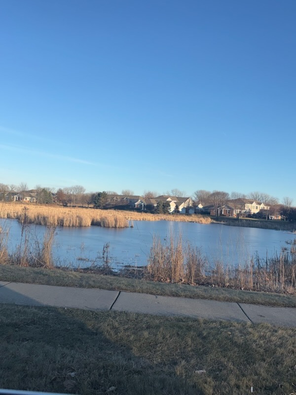 1029 Draper Road McHenry, IL 60050 - Photo 29 of 30