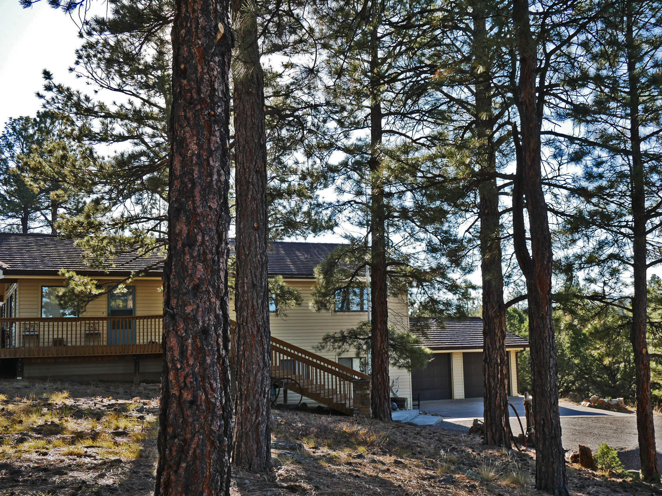 435 Juniper Road North Ridgway, CO 81432 - Photo 2 of 38 435 Juniper Afternoon