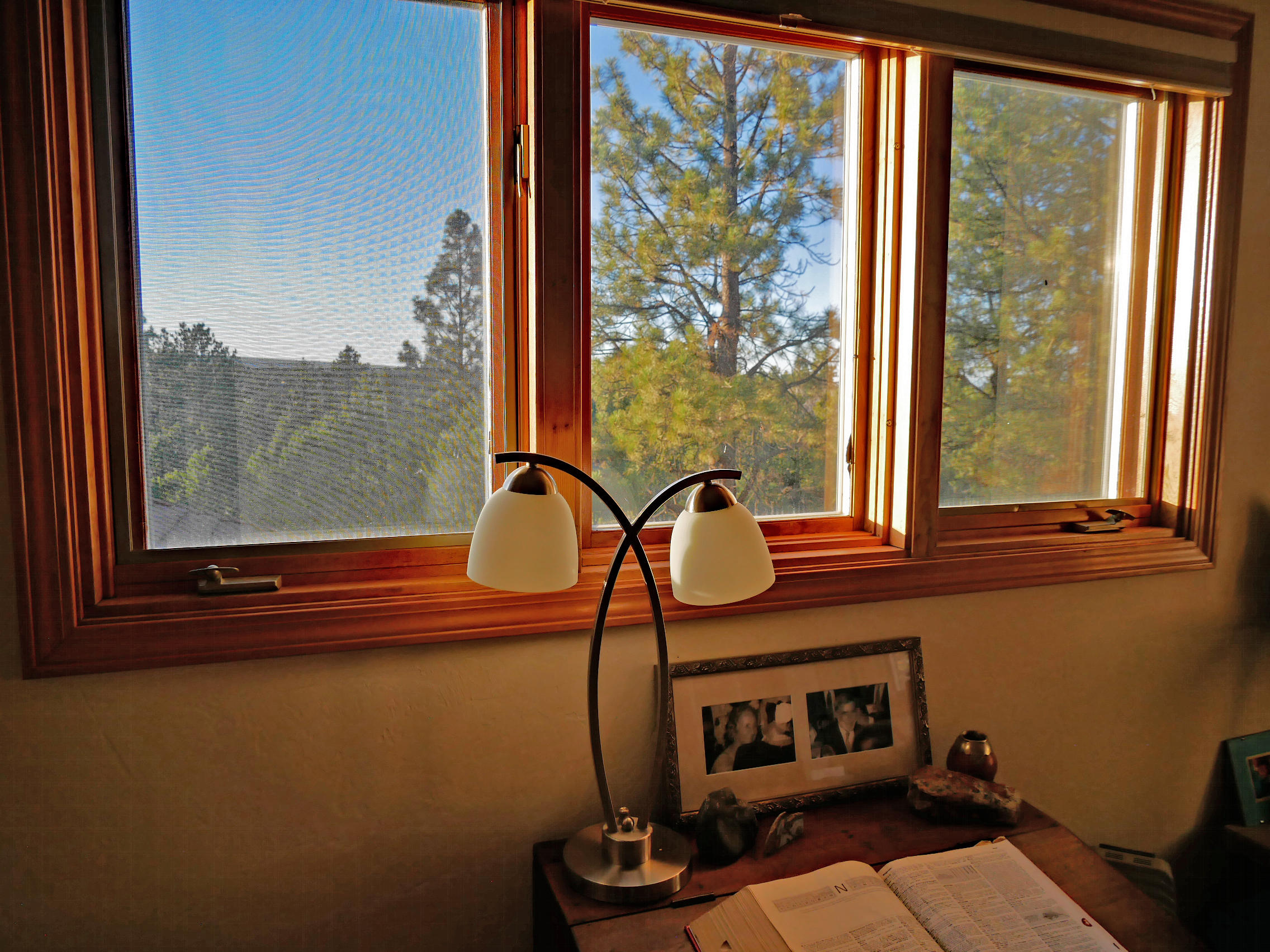435 Juniper Road North Ridgway, CO 81432 - Photo 15 of 38 Bedroom 4