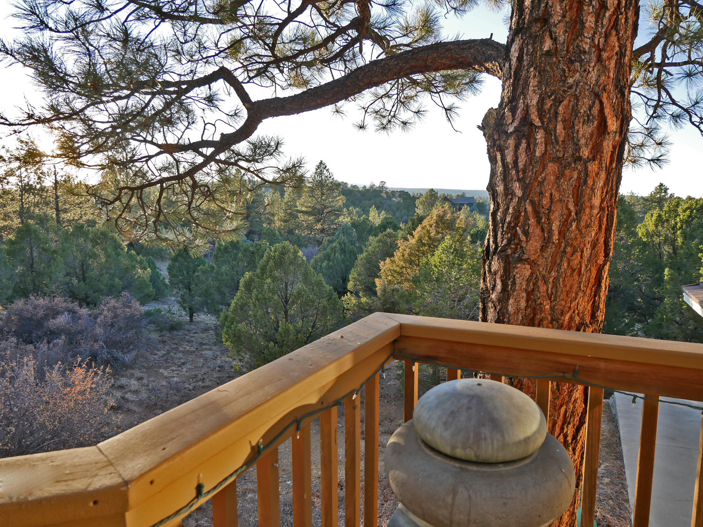 435 Juniper Road North Ridgway, CO 81432 - Photo 19 of 38 Master Bedroom Patio