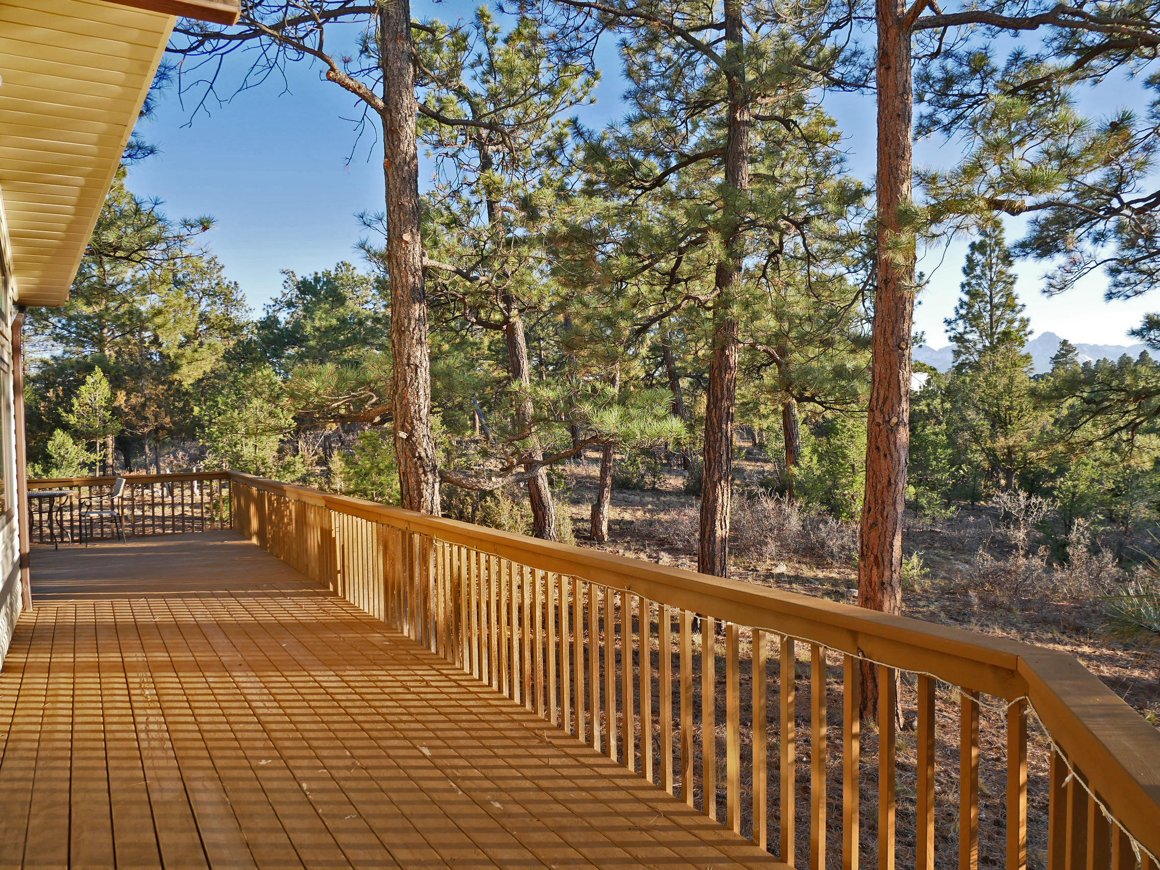 435 Juniper Road North Ridgway, CO 81432 - Photo 24 of 38 Expansive Main Level Wraparound Patio