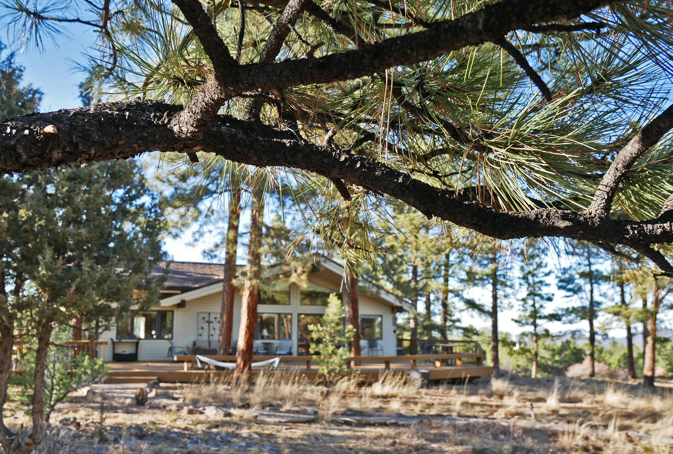 435 Juniper Road North Ridgway, CO 81432 - Photo 33 of 38 435 Juniper Tranquil setting