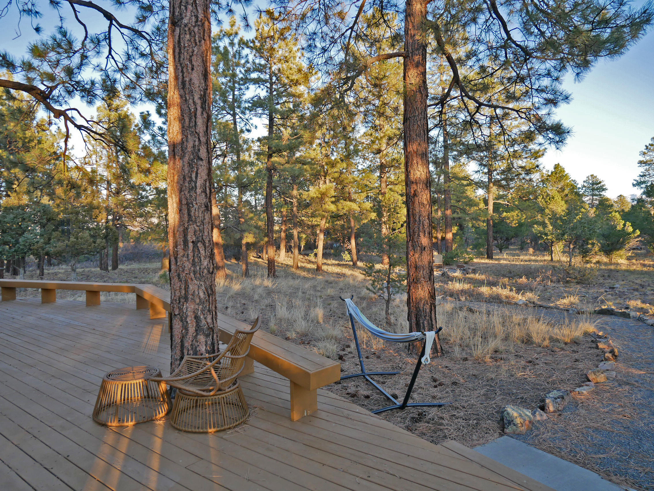 435 Juniper Road North Ridgway, CO 81432 - Photo 34 of 38 Expansive Wraparound Patio