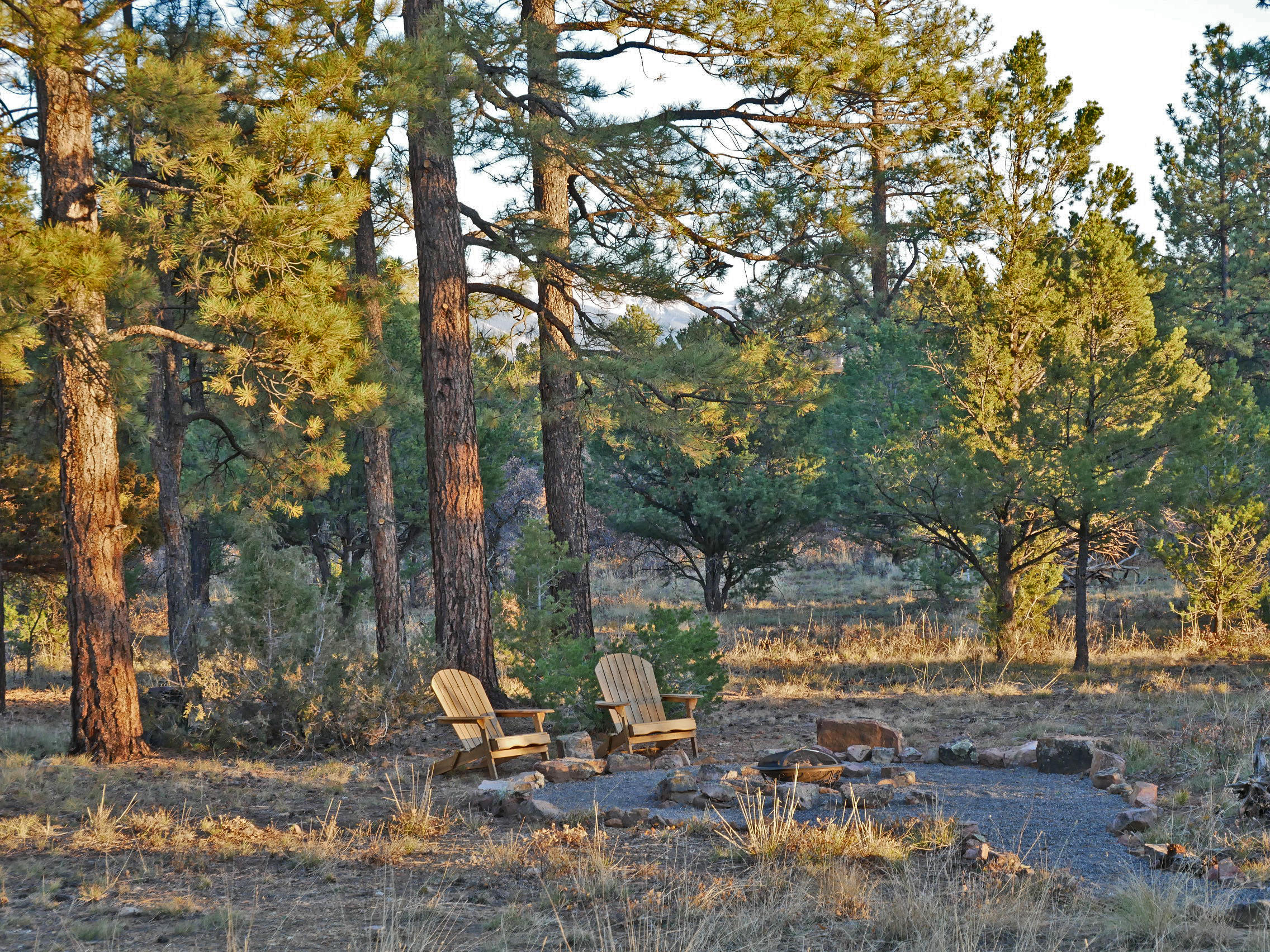 435 Juniper Road North Ridgway, CO 81432 - Photo 35 of 38 Firepit