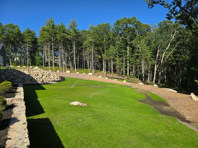 a view of a park with large trees