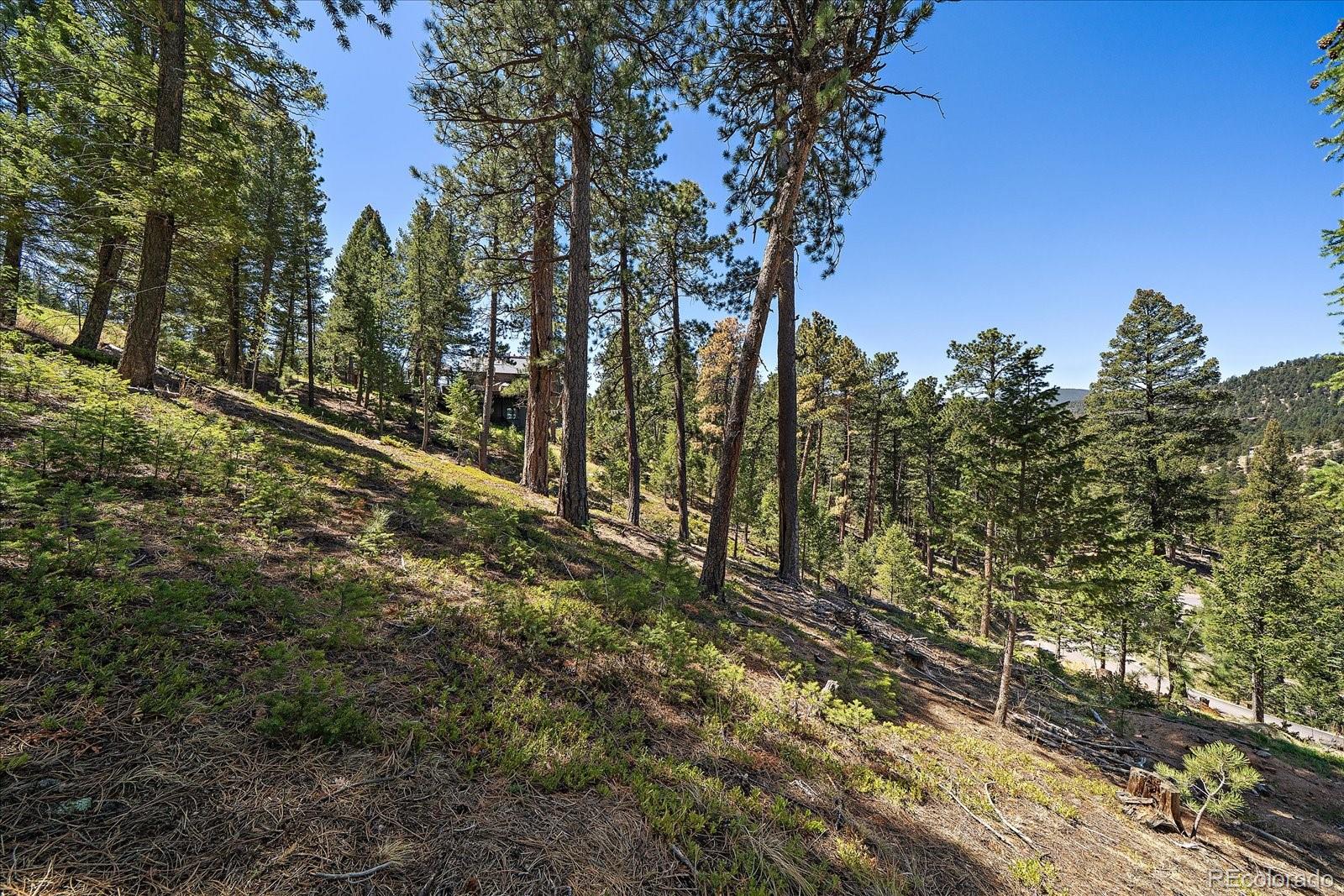 6875 Lynx Lair Road Evergreen, CO 80439 - Photo 14 of 21