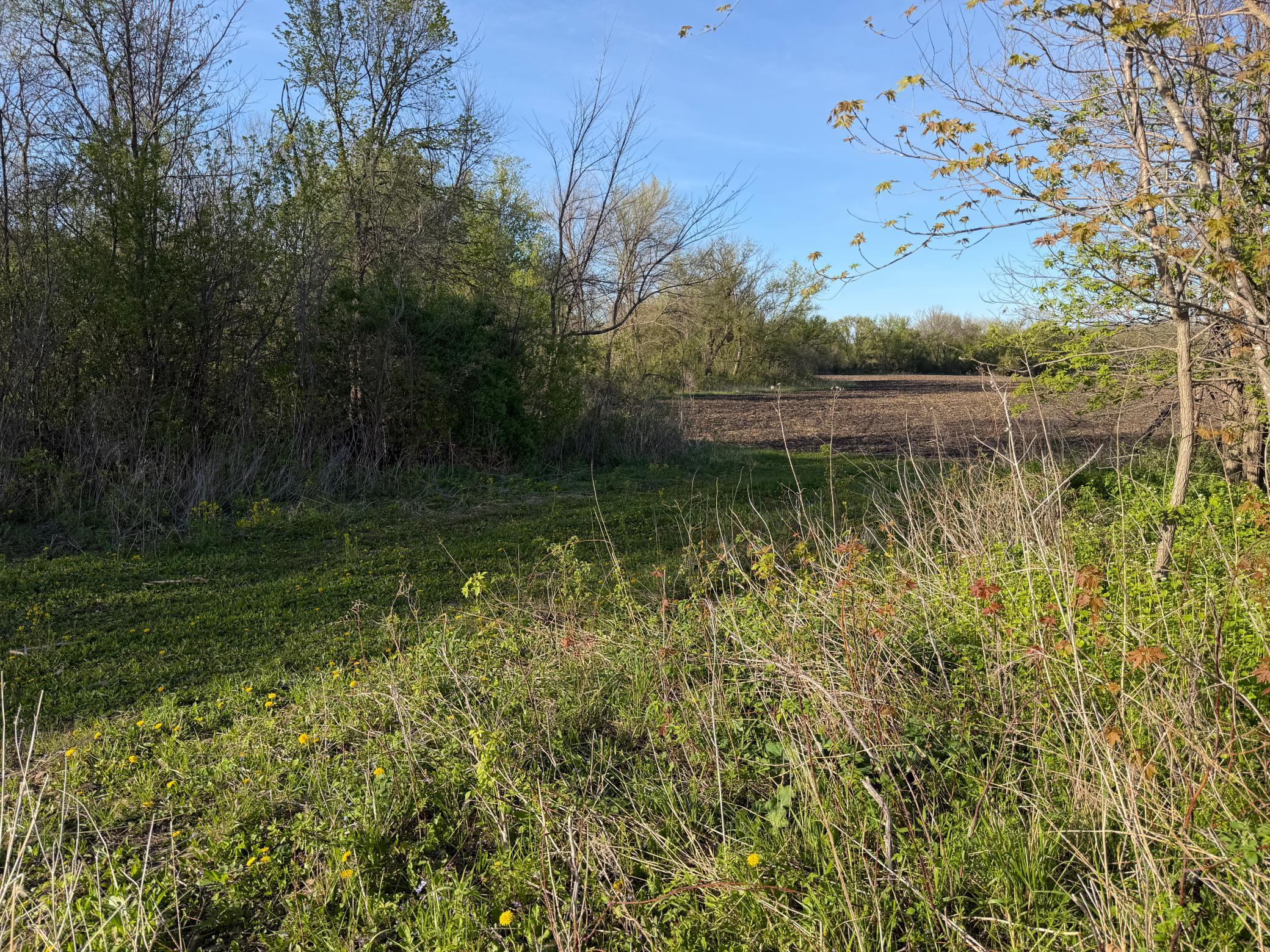 Tbd Tbd Vista Ridge Lane Northwest Byron, MN 55920 - Photo 25 of 60