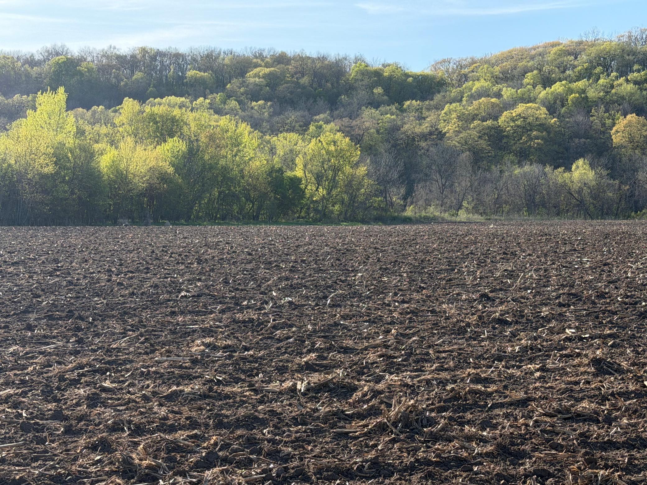 Tbd Tbd Vista Ridge Lane Northwest Byron, MN 55920 - Photo 26 of 60