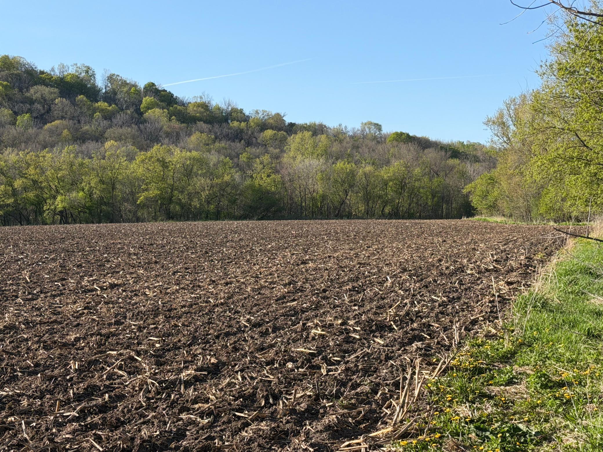 Tbd Tbd Vista Ridge Lane Northwest Byron, MN 55920 - Photo 27 of 60