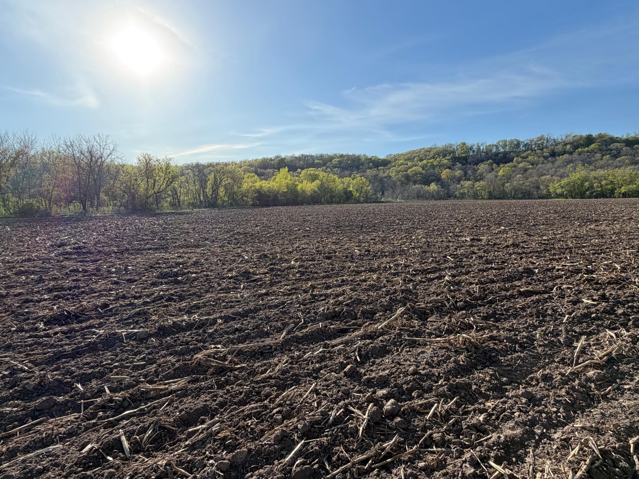 Tbd Tbd Vista Ridge Lane Northwest Byron, MN 55920 - Photo 28 of 60