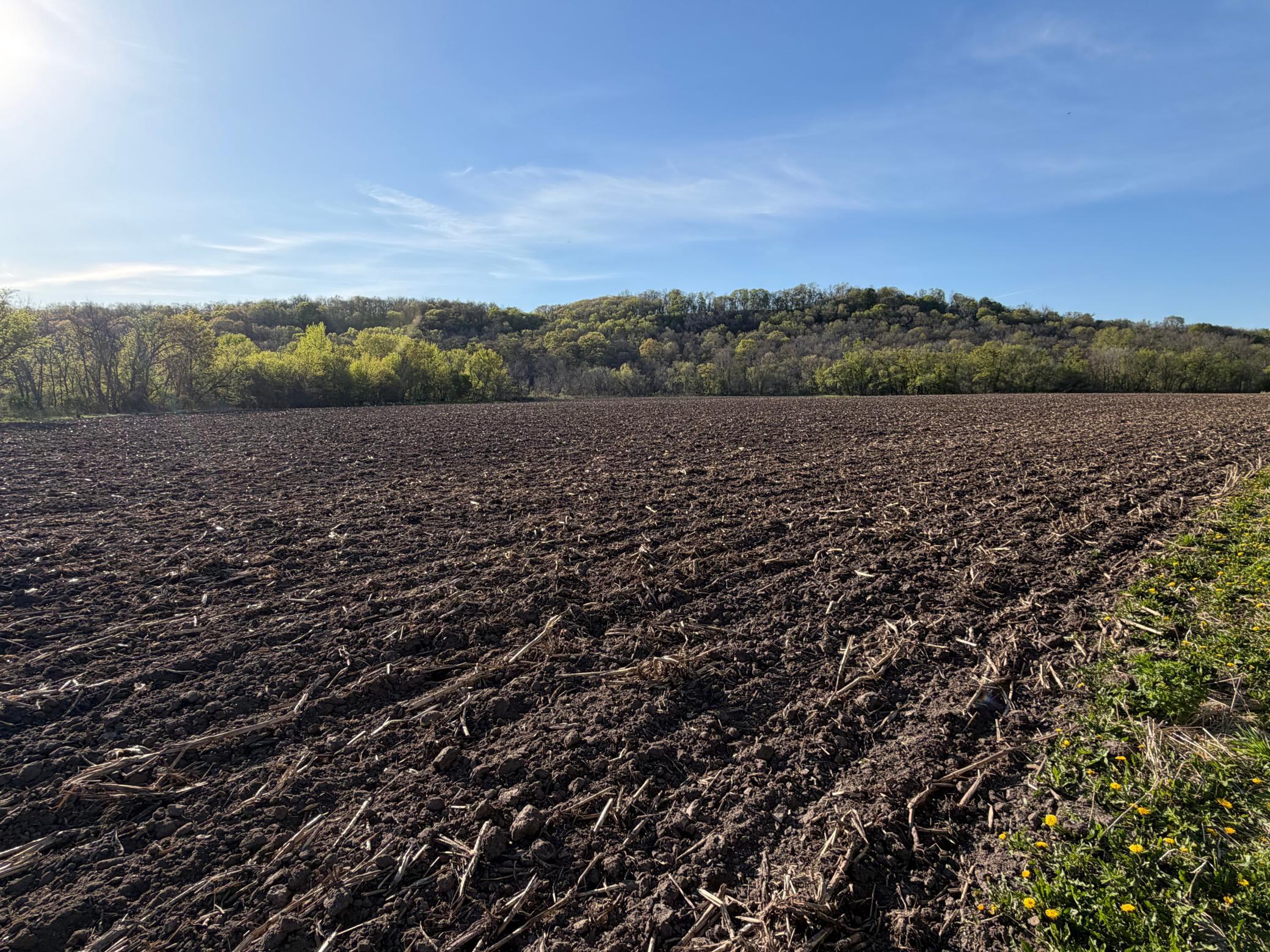 Tbd Tbd Vista Ridge Lane Northwest Byron, MN 55920 - Photo 29 of 60
