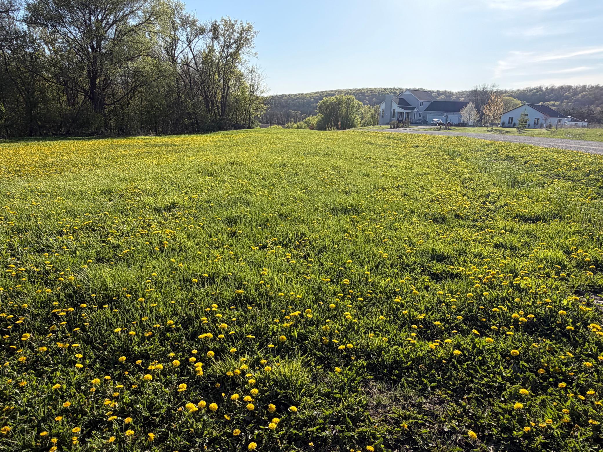 Tbd Tbd Vista Ridge Lane Northwest Byron, MN 55920 - Photo 38 of 60