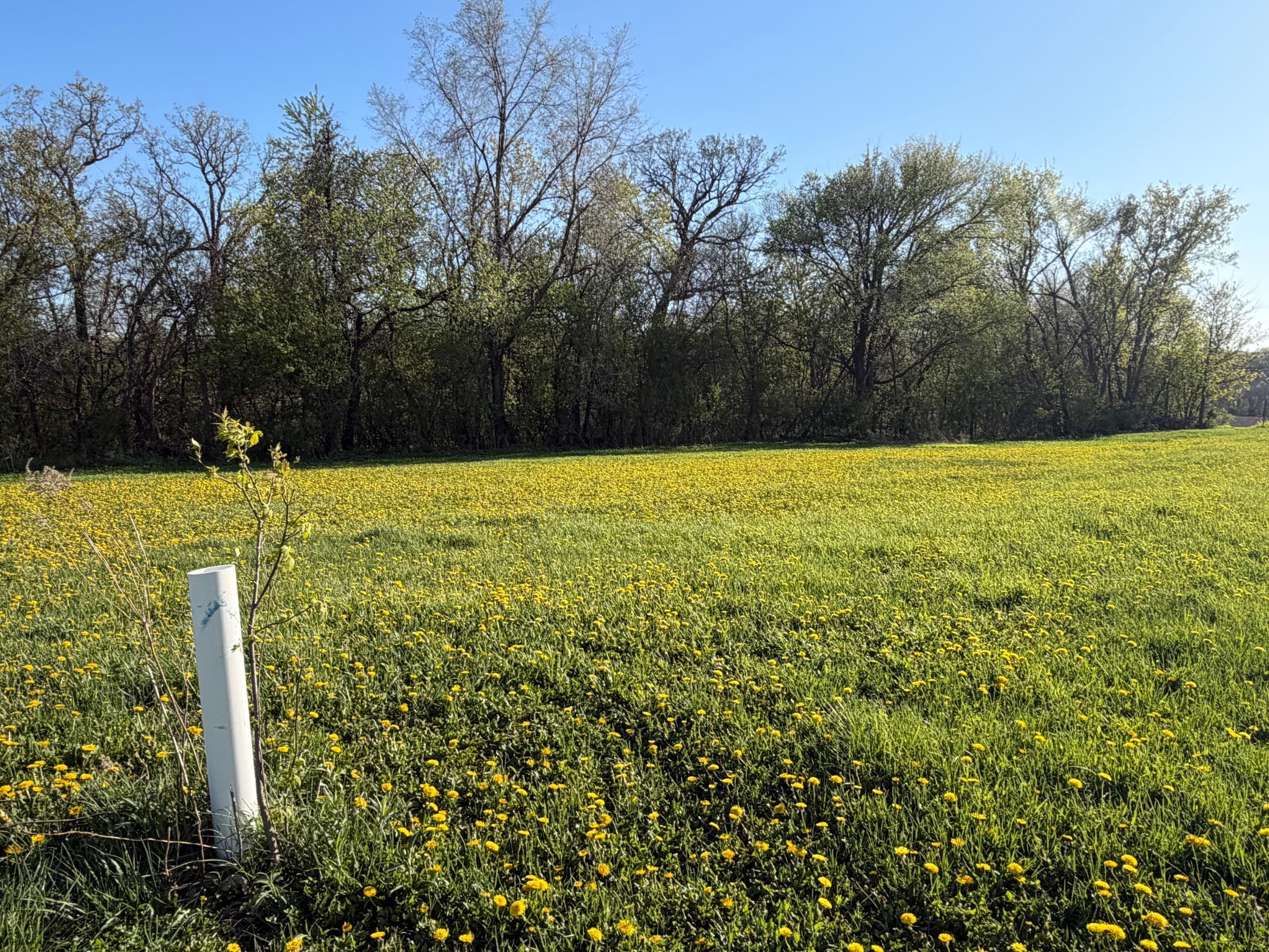 Tbd Tbd Vista Ridge Lane Northwest Byron, MN 55920 - Photo 39 of 60
