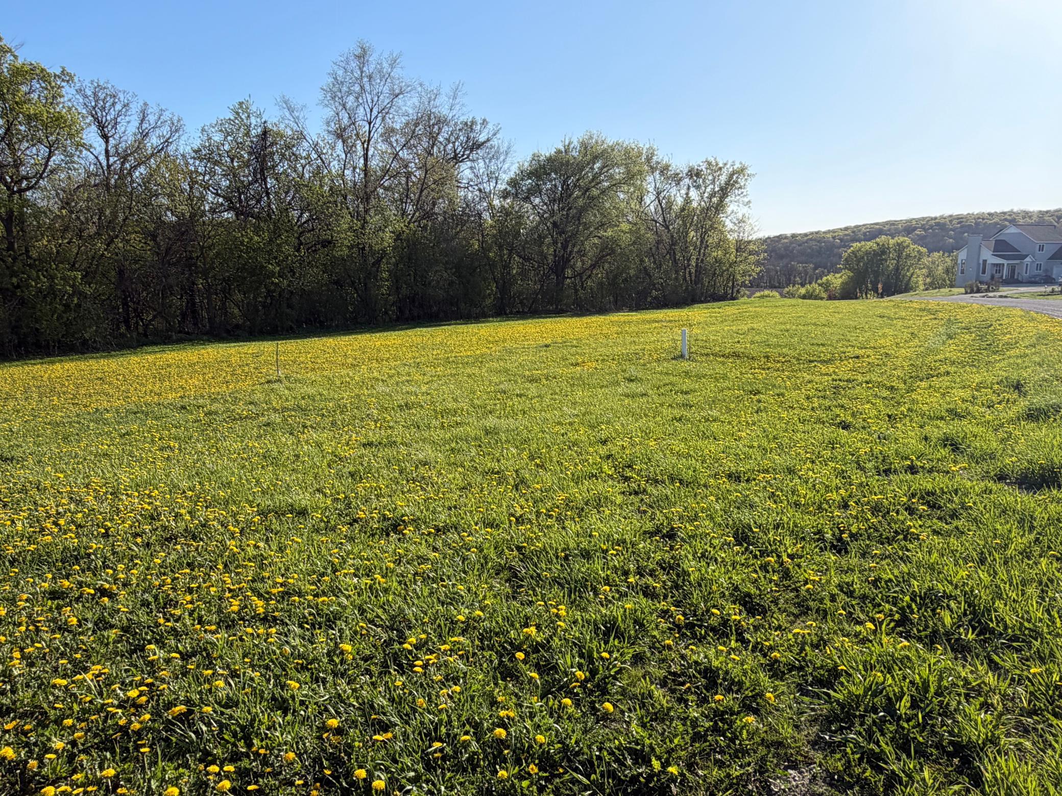 Tbd Tbd Vista Ridge Lane Northwest Byron, MN 55920 - Photo 40 of 60