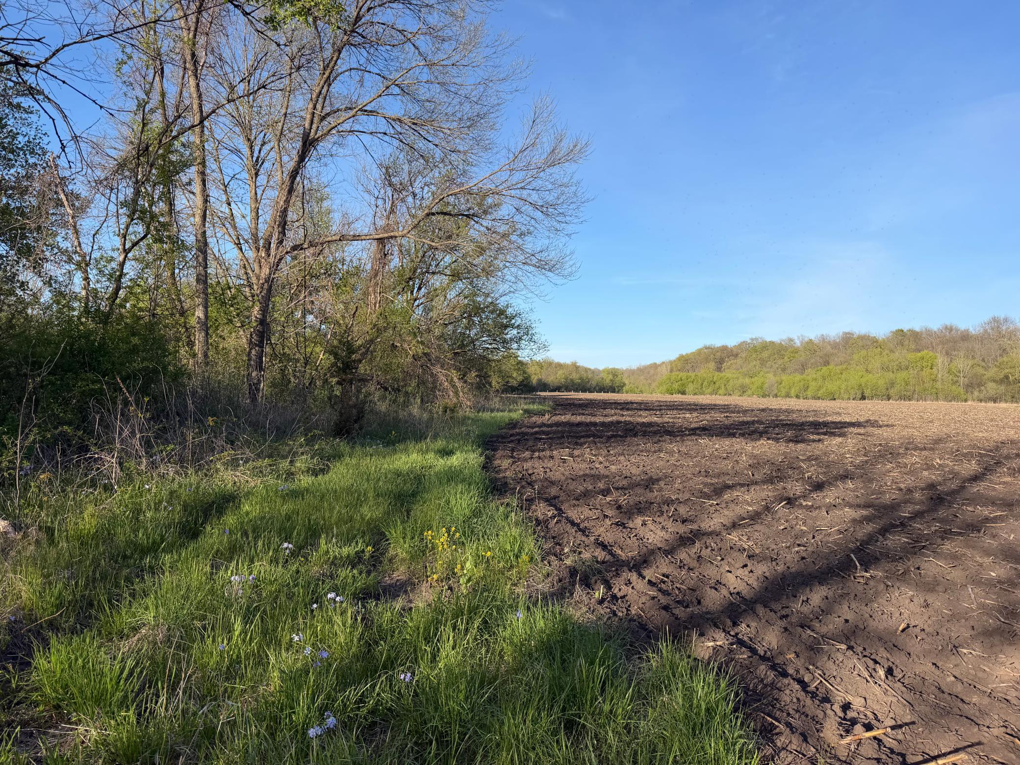 Tbd Tbd Vista Ridge Lane Northwest Byron, MN 55920 - Photo 53 of 60