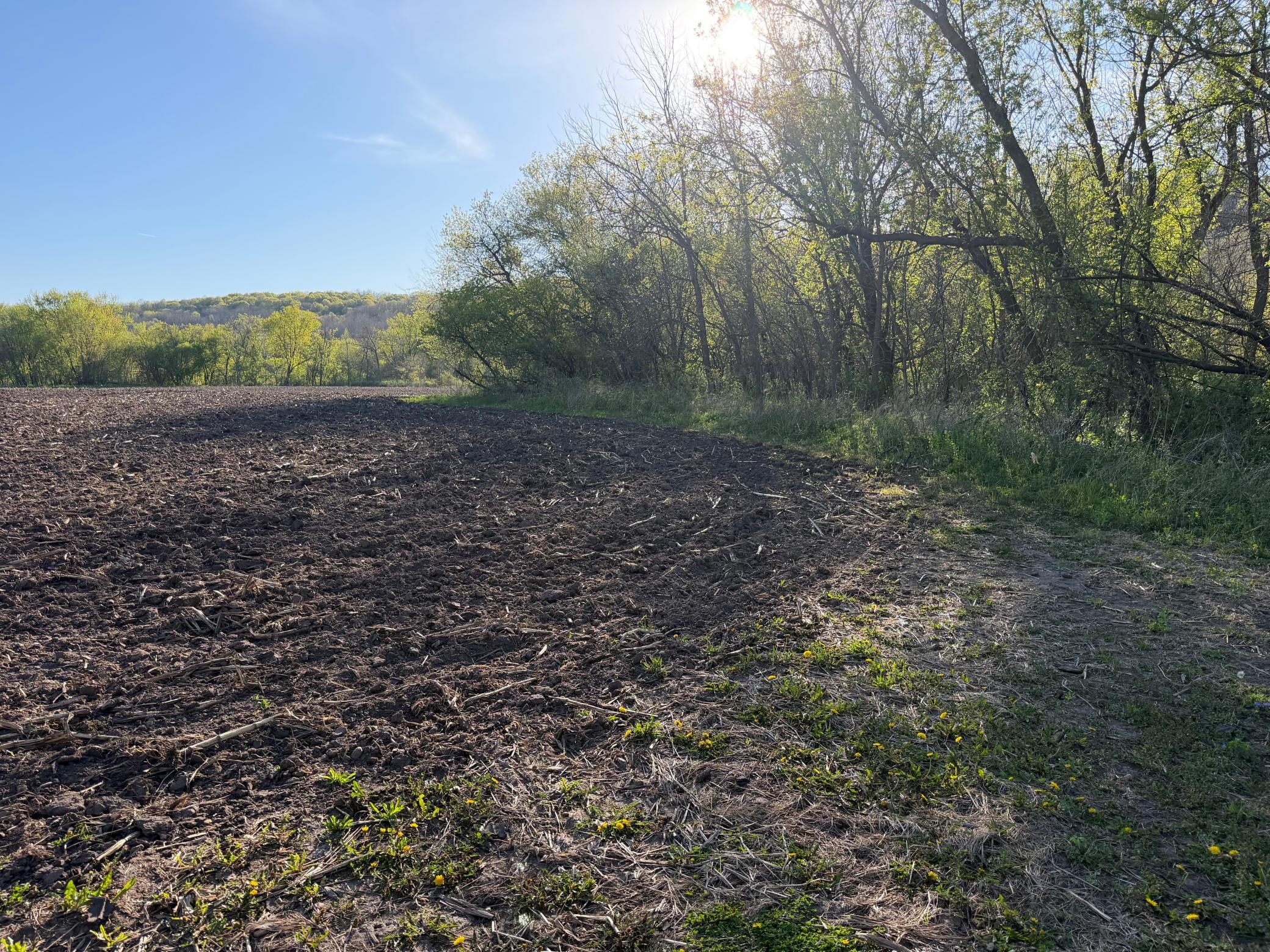 Tbd Tbd Vista Ridge Lane Northwest Byron, MN 55920 - Photo 60 of 60