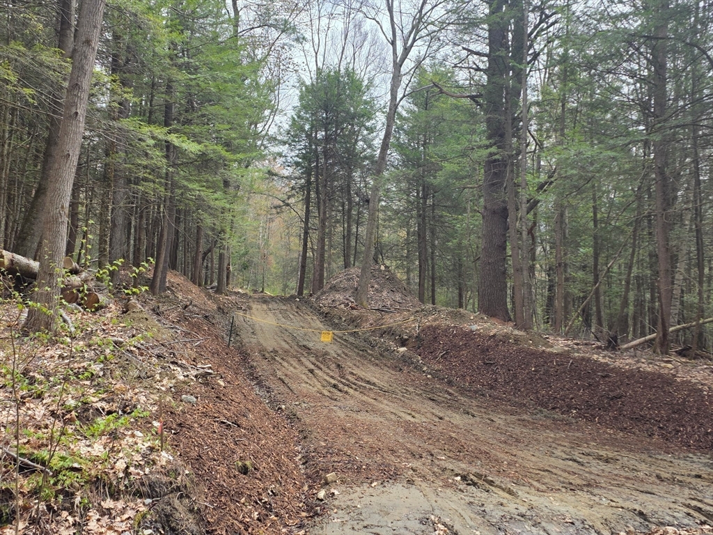 0 Old Chester Road Blandford, MA 01008 - Photo 3 of 7