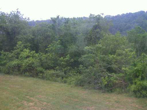 1017 Old Noblestown Road Carnegie, PA 15106 - Photo 8 of 8 Yard/Garden.