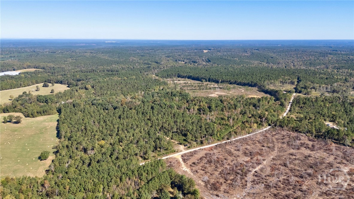 1 Bridges Road Carlton, GA 30627 - Photo 33 of 33