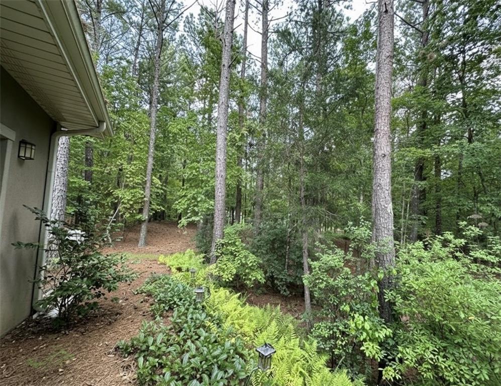 748 Maner Road Rockmart, GA 30153 - Photo 9 of 50