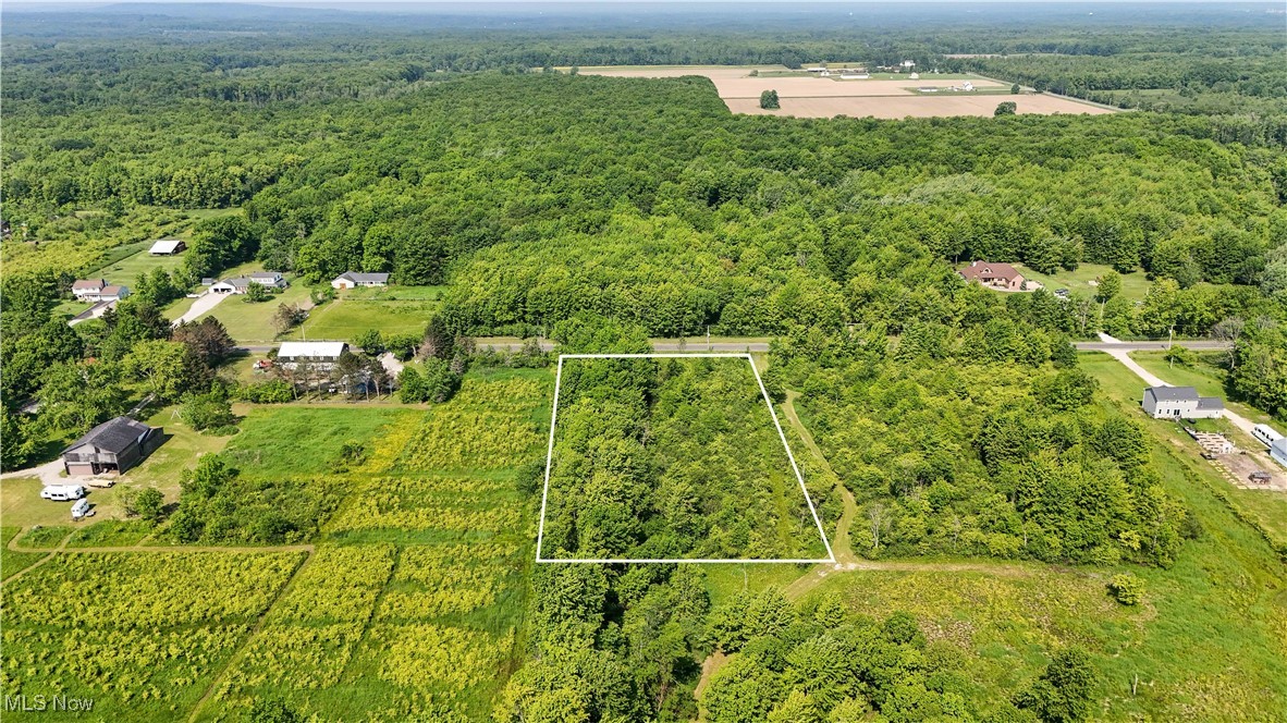 Brakeman Road Painesville, OH 44077 - Photo 16 of 24 Aerial view of property's location with a forest and property boundaries highlighted