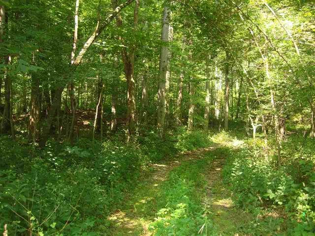 9127 North Buskirk Road Gosport, IN 47433 - Photo 5 of 7