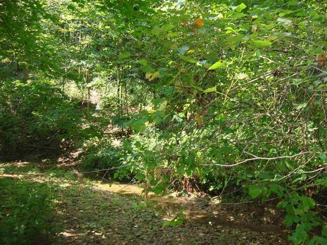 9127 North Buskirk Road Gosport, IN 47433 - Photo 6 of 7