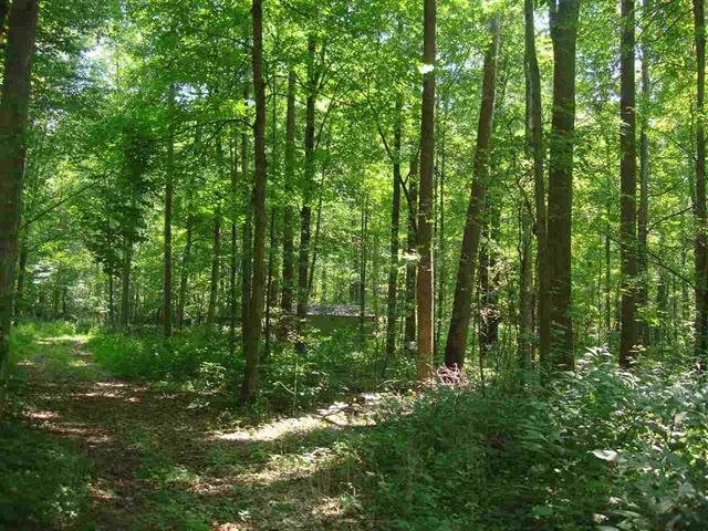 9127 North Buskirk Road Gosport, IN 47433 - Photo 7 of 7
