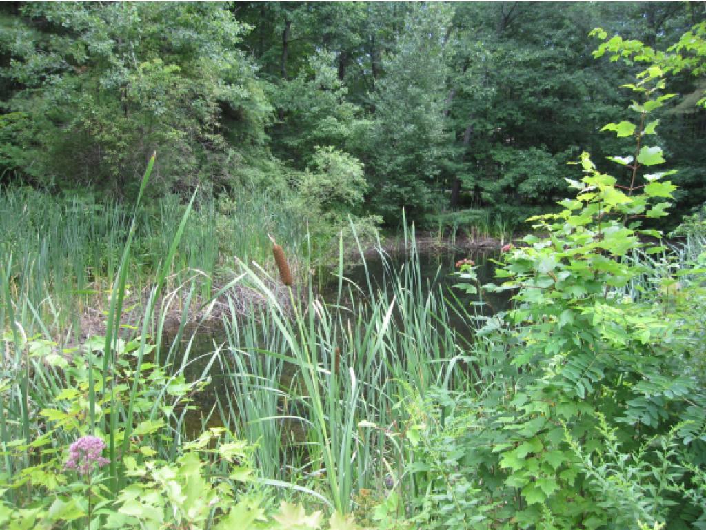 Lot 2 Long Hill Road Dover, NH 03820 - Photo 7 of 9