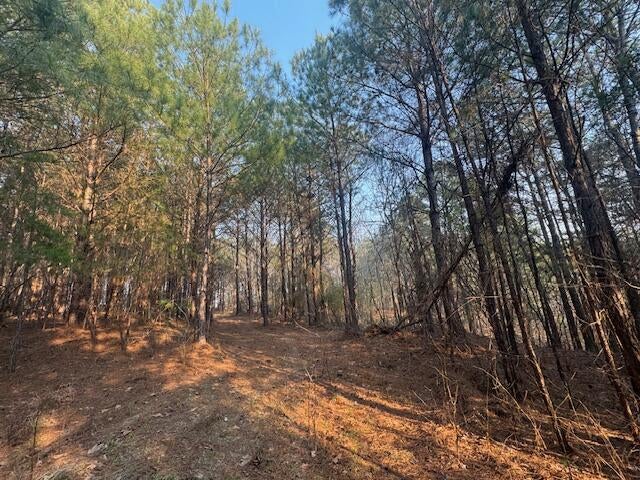 Stella Lockard Road Cordova, AL 35550 - Photo 12 of 18 IMG_9793