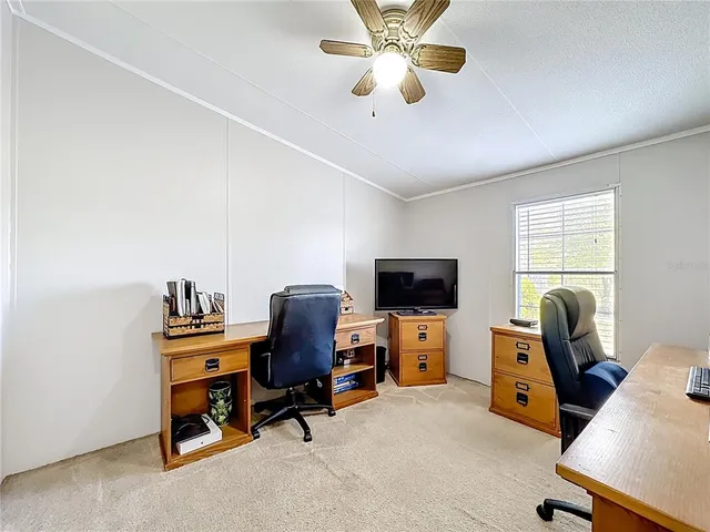 a view of a trees in a yard