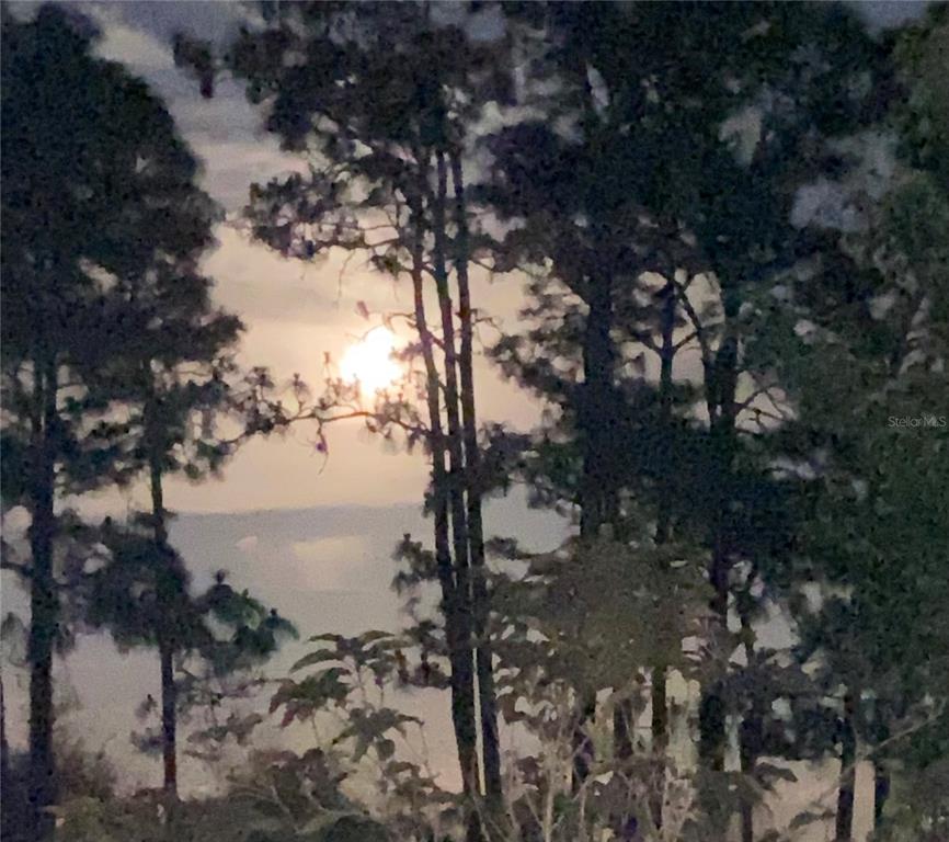 4775 Cypress Creek Ranch Road St. Cloud, FL 34773 - Photo 63 of 63