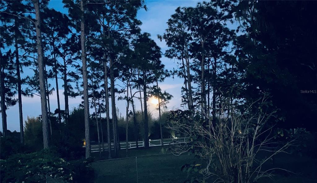 4775 Cypress Creek Ranch Road St. Cloud, FL 34773 - Photo 10 of 63 a view of outdoor space and yard