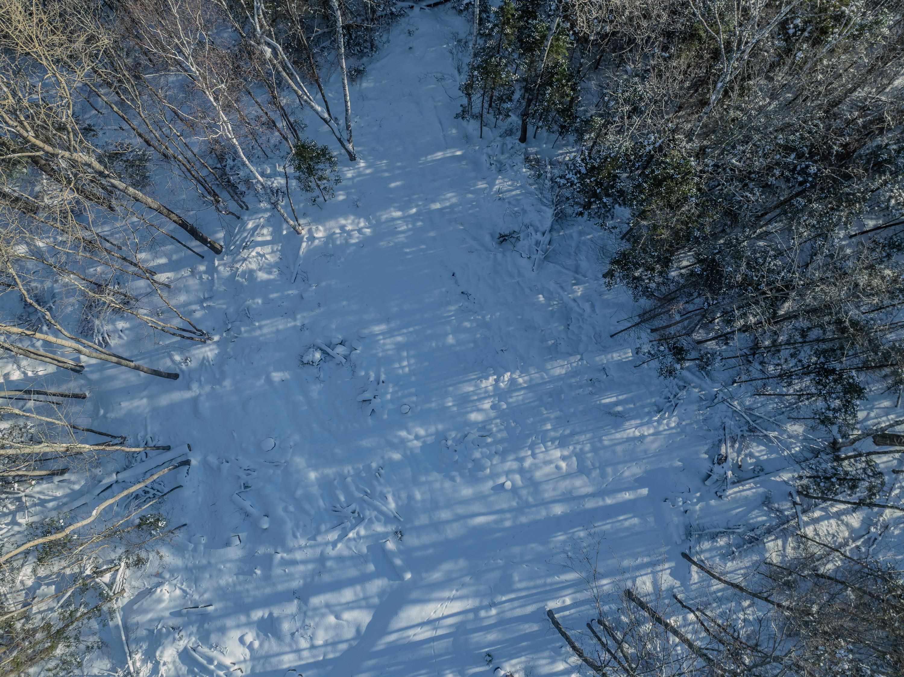 0 Trumpet Round Road Sugar Hill, NH 03586 - Photo 25 of 36