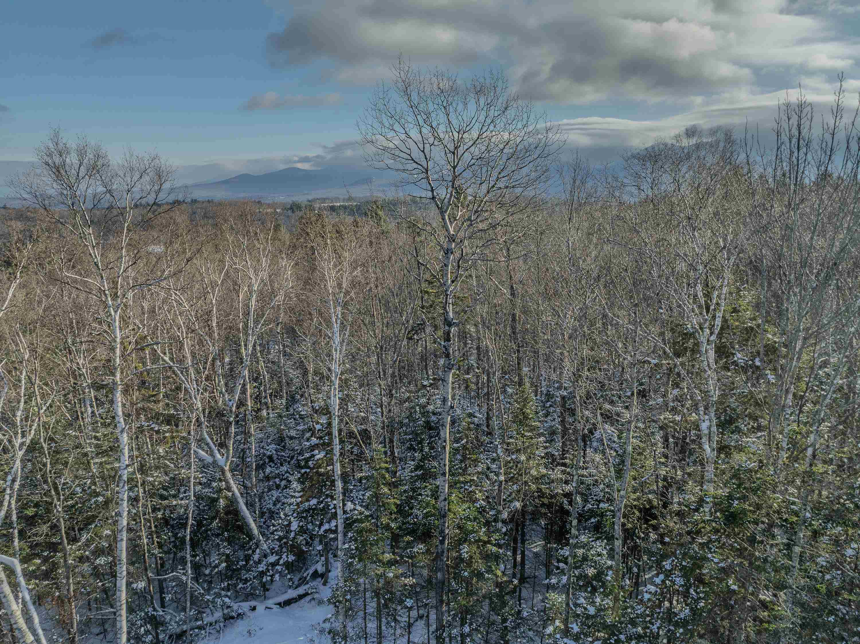 0 Trumpet Round Road Sugar Hill, NH 03586 - Photo 26 of 36