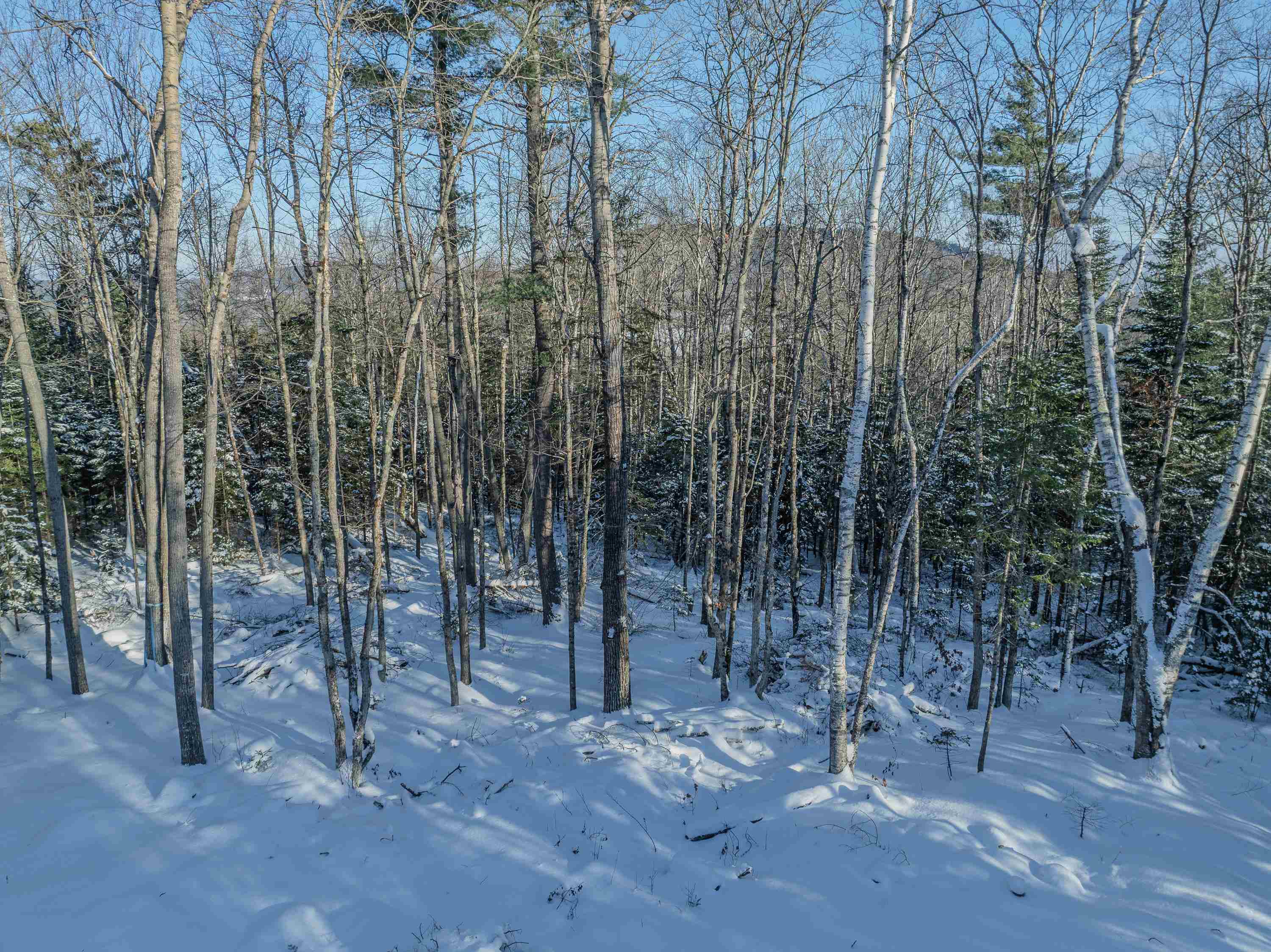 0 Trumpet Round Road Sugar Hill, NH 03586 - Photo 27 of 36