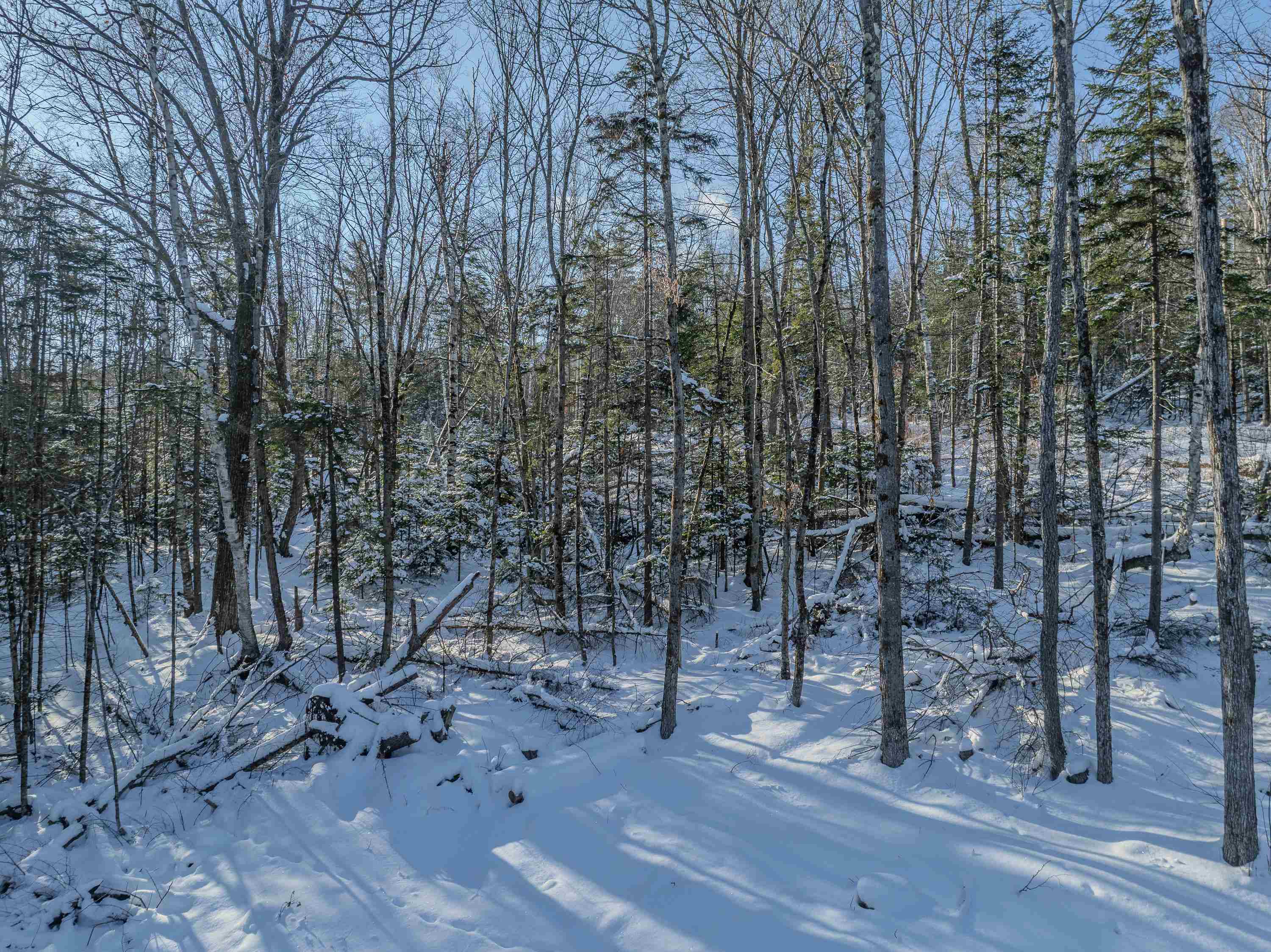 0 Trumpet Round Road Sugar Hill, NH 03586 - Photo 29 of 36