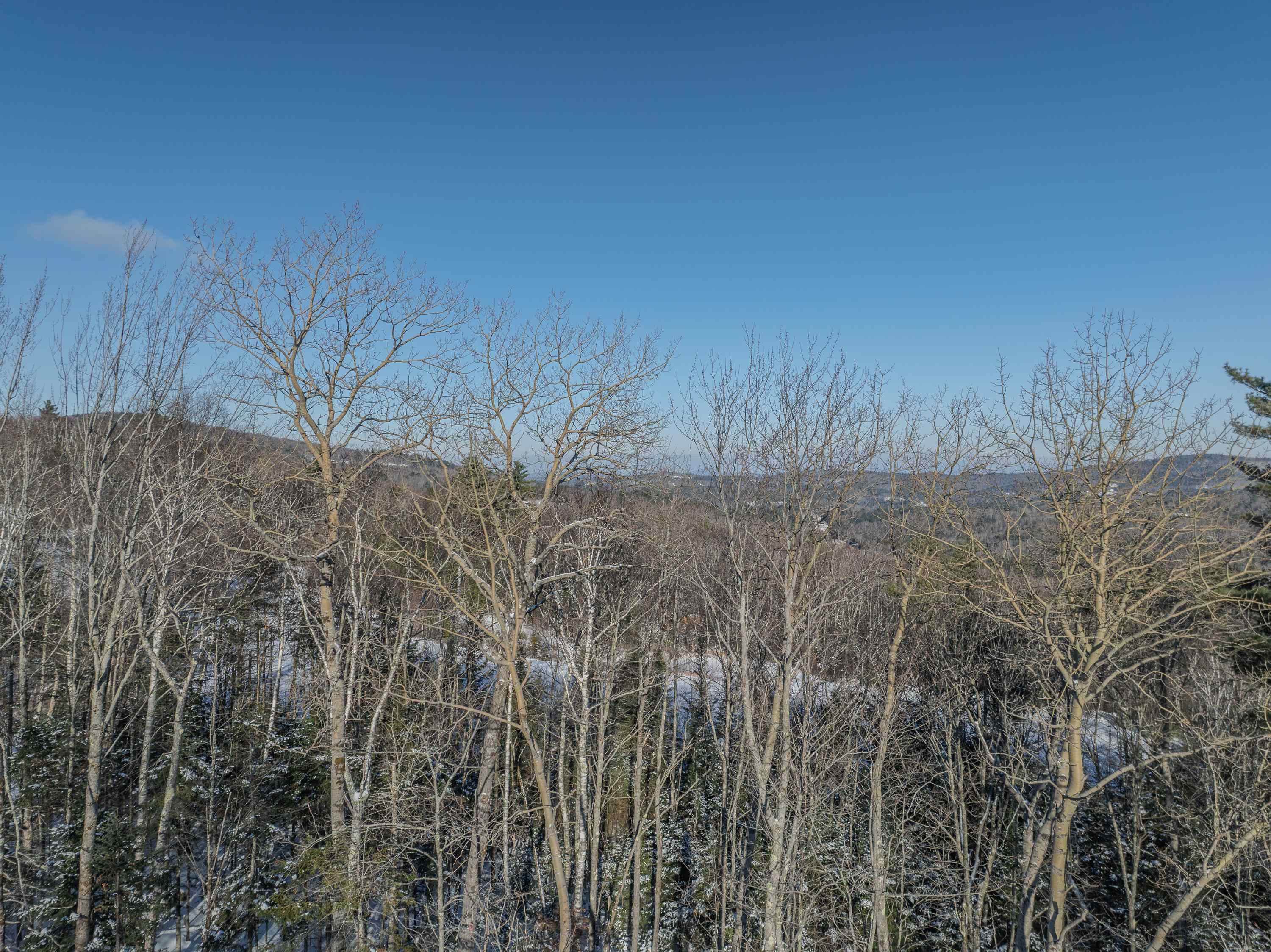 0 Trumpet Round Road Sugar Hill, NH 03586 - Photo 32 of 36