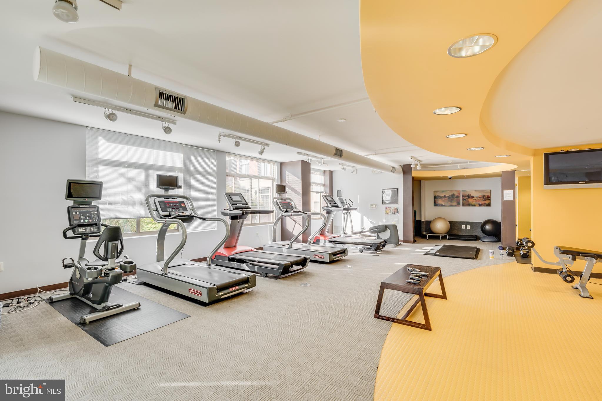 3600 South Glebe Road, Unit 327W Arlington, VA 22202 - Photo 29 of 42 Full work out gym