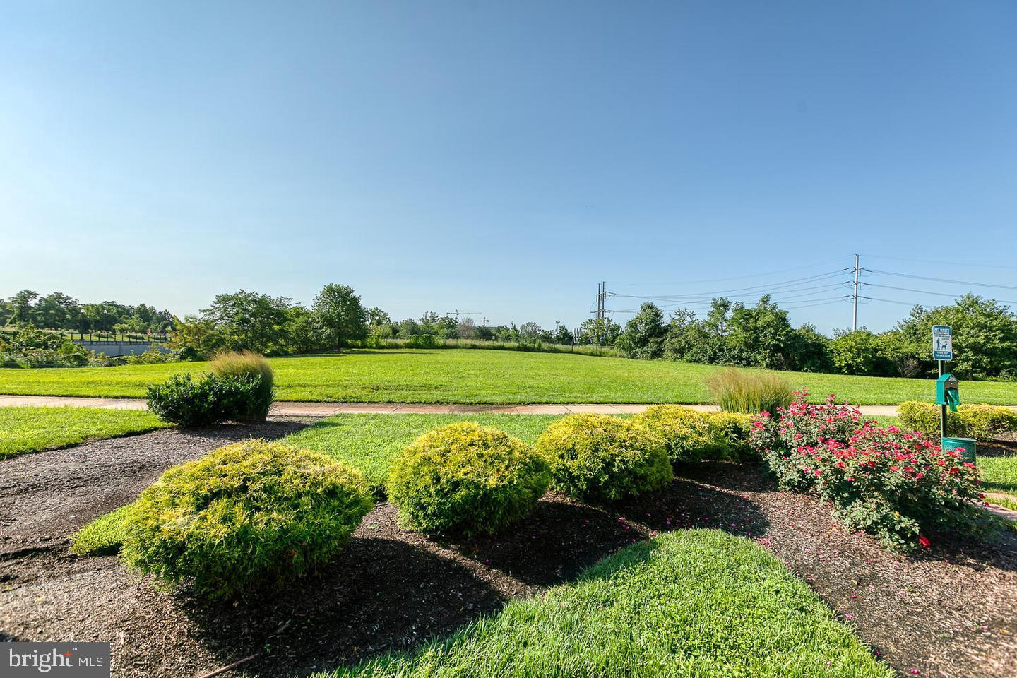 3600 South Glebe Road, Unit 327W Arlington, VA 22202 - Photo 41 of 42 Acres of dog walking trails