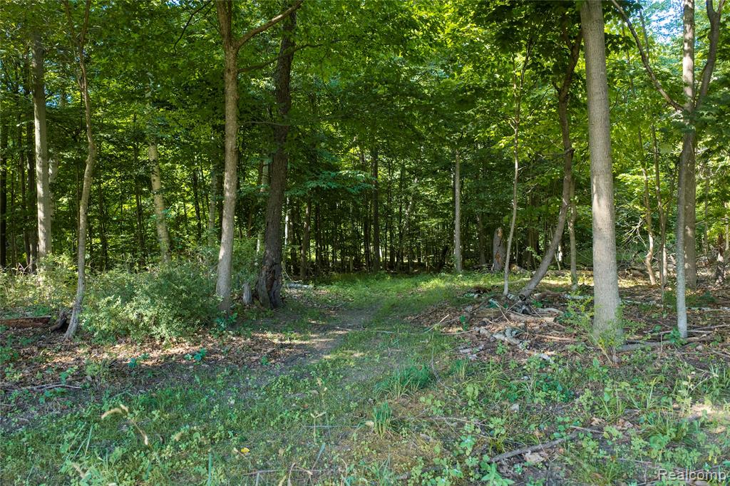 0 Harrington Road Croswell, MI 48422 - Photo 12 of 16 Gallery Image 12