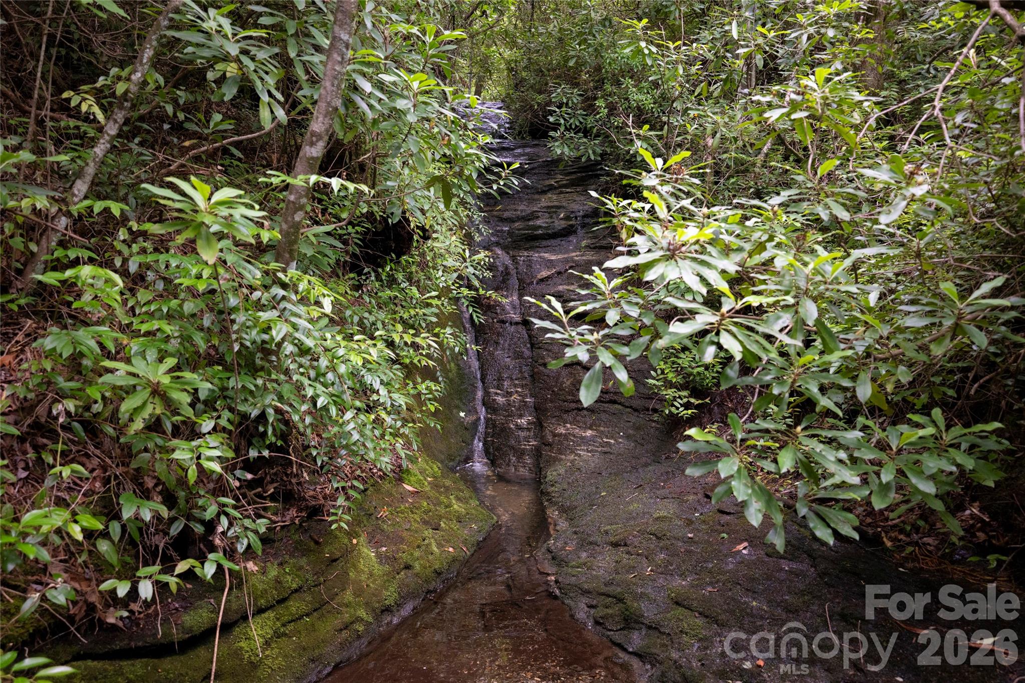 100 Meadow Ridge Road Lake Toxaway, NC 28747 - Photo 43 of 48
