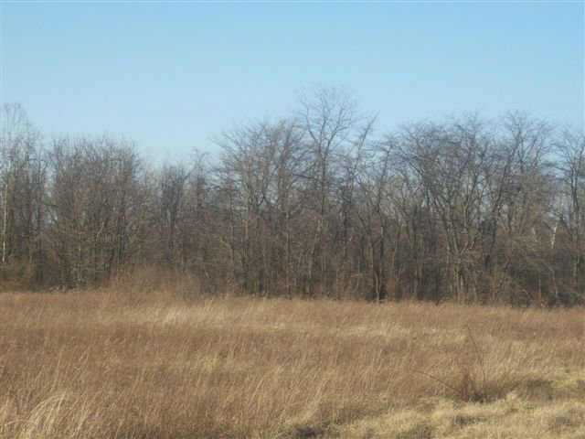0 Shoemaker Road, Unit L8 Circleville, OH 43113 - Photo 1 of 3 Gallery Image 1