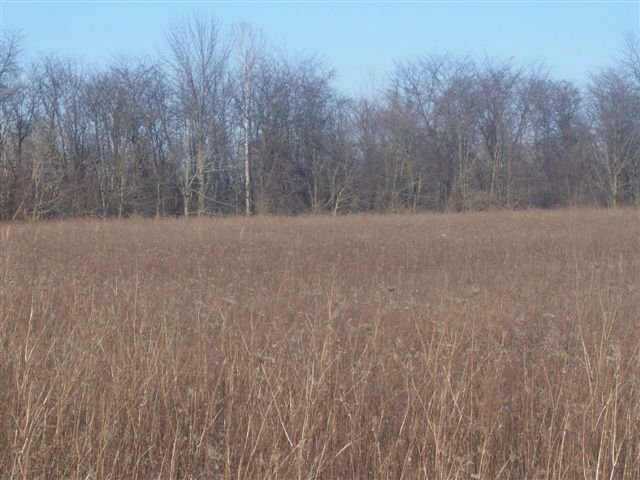 0 Shoemaker Road, Unit L8 Circleville, OH 43113 - Photo 3 of 3 Gallery Image 3