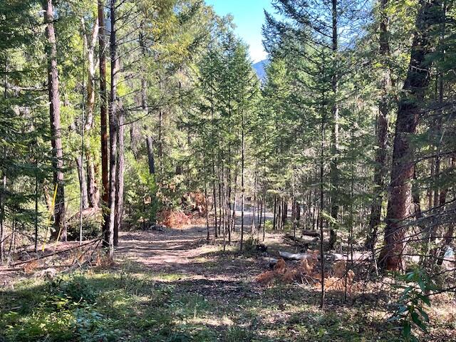8000 Thompson Creek Road Williams, OR 97544 - Photo 7 of 10 a view of yard