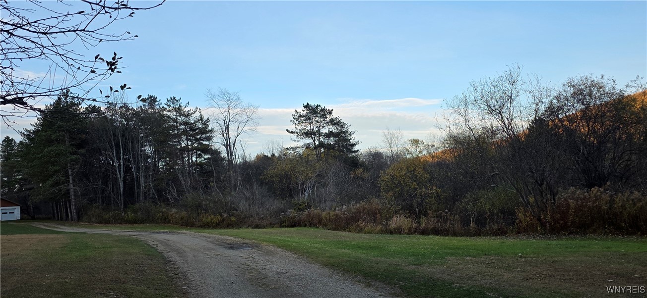 6676 West Hill Road Mansfield, NY 14755 - Photo 11 of 44