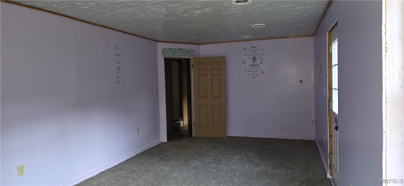 6676 West Hill Road Mansfield, NY 14755 - Photo 26 of 44