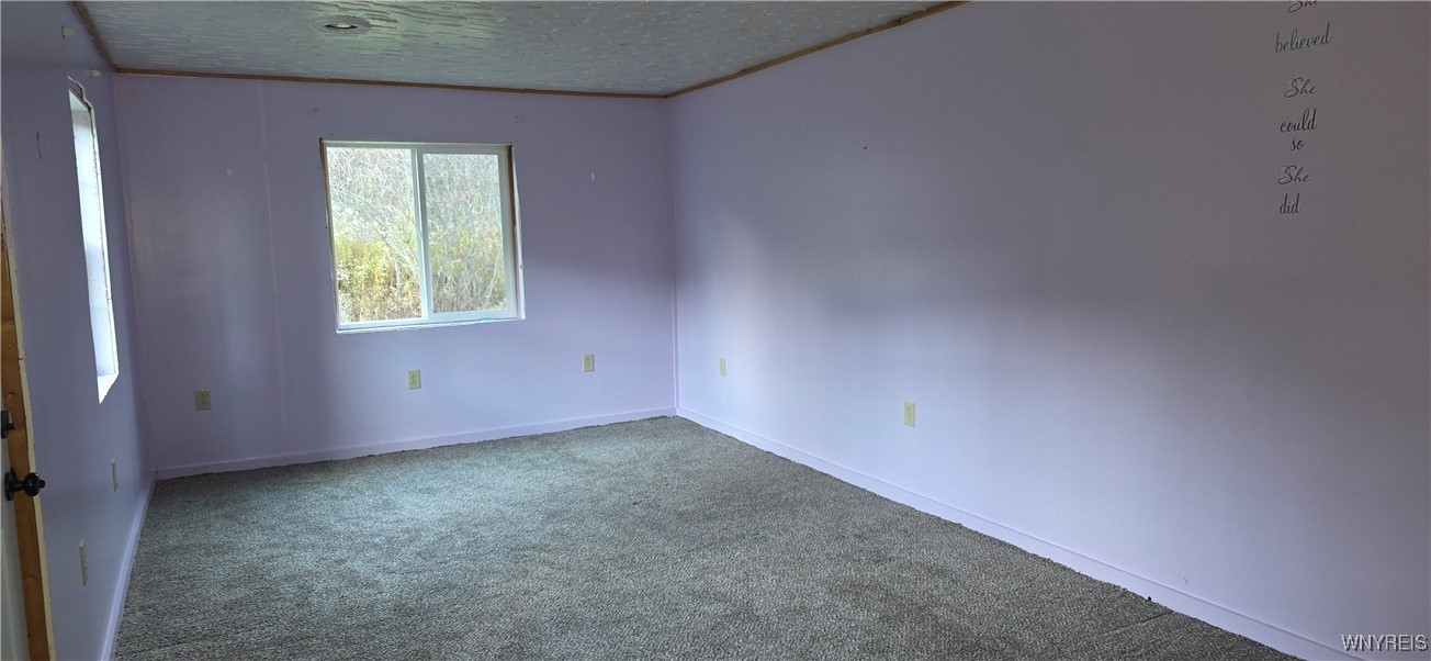 6676 West Hill Road Mansfield, NY 14755 - Photo 27 of 44