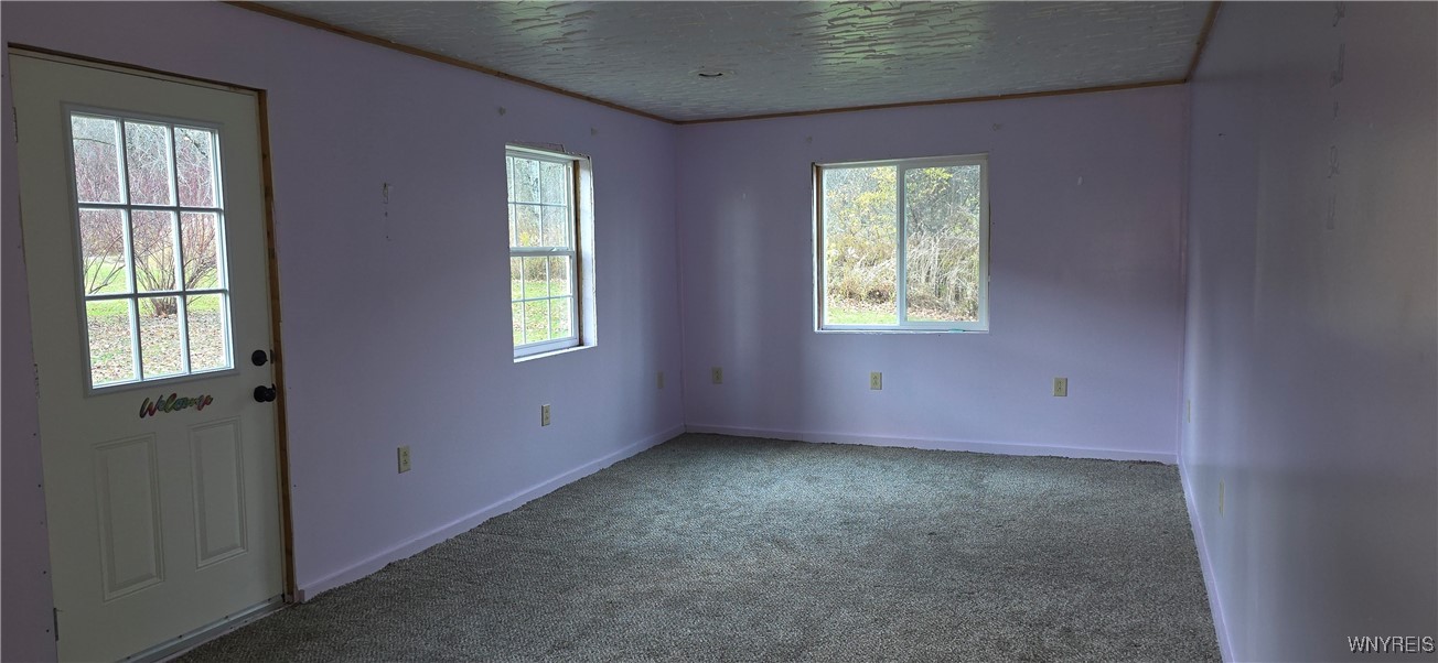 6676 West Hill Road Mansfield, NY 14755 - Photo 28 of 44